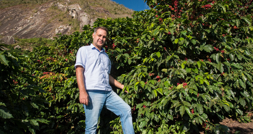 fazenda-belavista-imagemprodutor